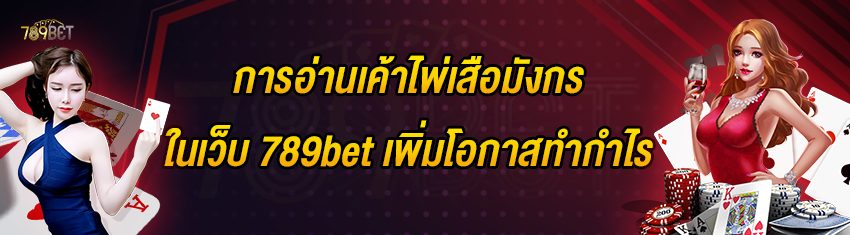 การอ่านเค้าไพ่เสือมังกรในเว็บ 789bet เพิ่มโอกาสทำกำไร