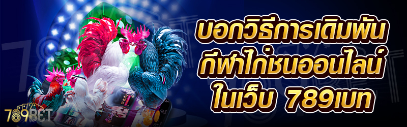 บอกวิธีการเดิมพันกีฬาไก่ชนออนไลน์-ในเว็บ-789เบท