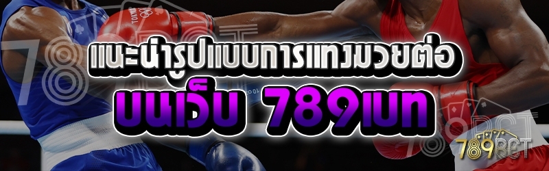 แนะนำรูปแบบการแทงมวยต่อ บนเว็บ 789เบท