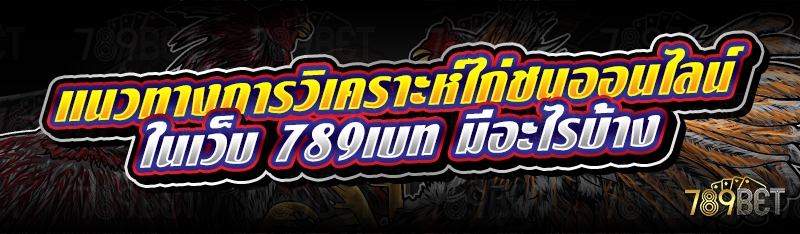 แนวทางการวิเคราะห์ไก่ชนออนไลน์ ในเว็บ 789เบท มีอะไรบ้าง