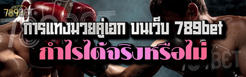 การแทงมวยคู่เอก บนเว็บ 789bet กำไรได้จริงหรือไม่ 