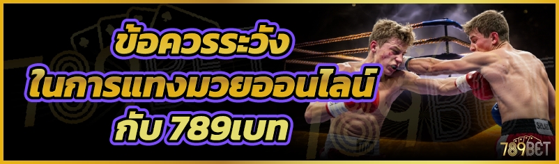 ข้อควรระวังในการแทงมวยออนไลน์กับ 789เบท