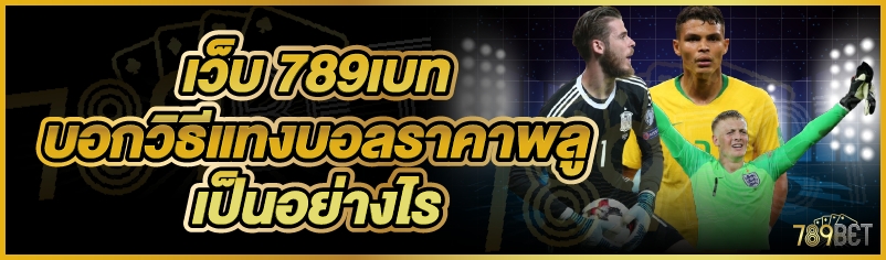 เว็บ 789เบท บอกวิธีแทงบอลราคาพลูเป็นอย่างไร