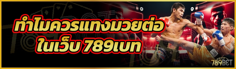 ทำไมควรแทงมวยต่อ ในเว็บ 789เบท