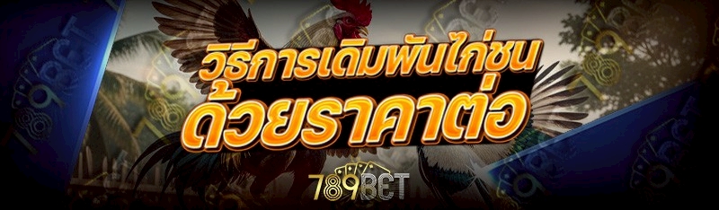 วิธีการเดิมพันไก่ชน