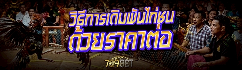 วิธีการเดิมพันไก่ชน ด้วยราคาต่อ 