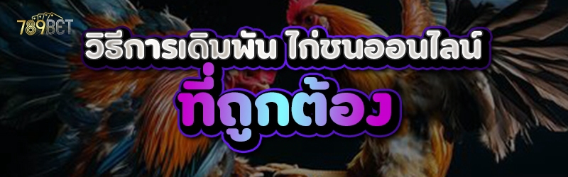 วิธีการเดิมพัน ไก่ชนออนไลน์ ที่ถูกต้อง 